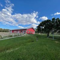 The Cat Ranch