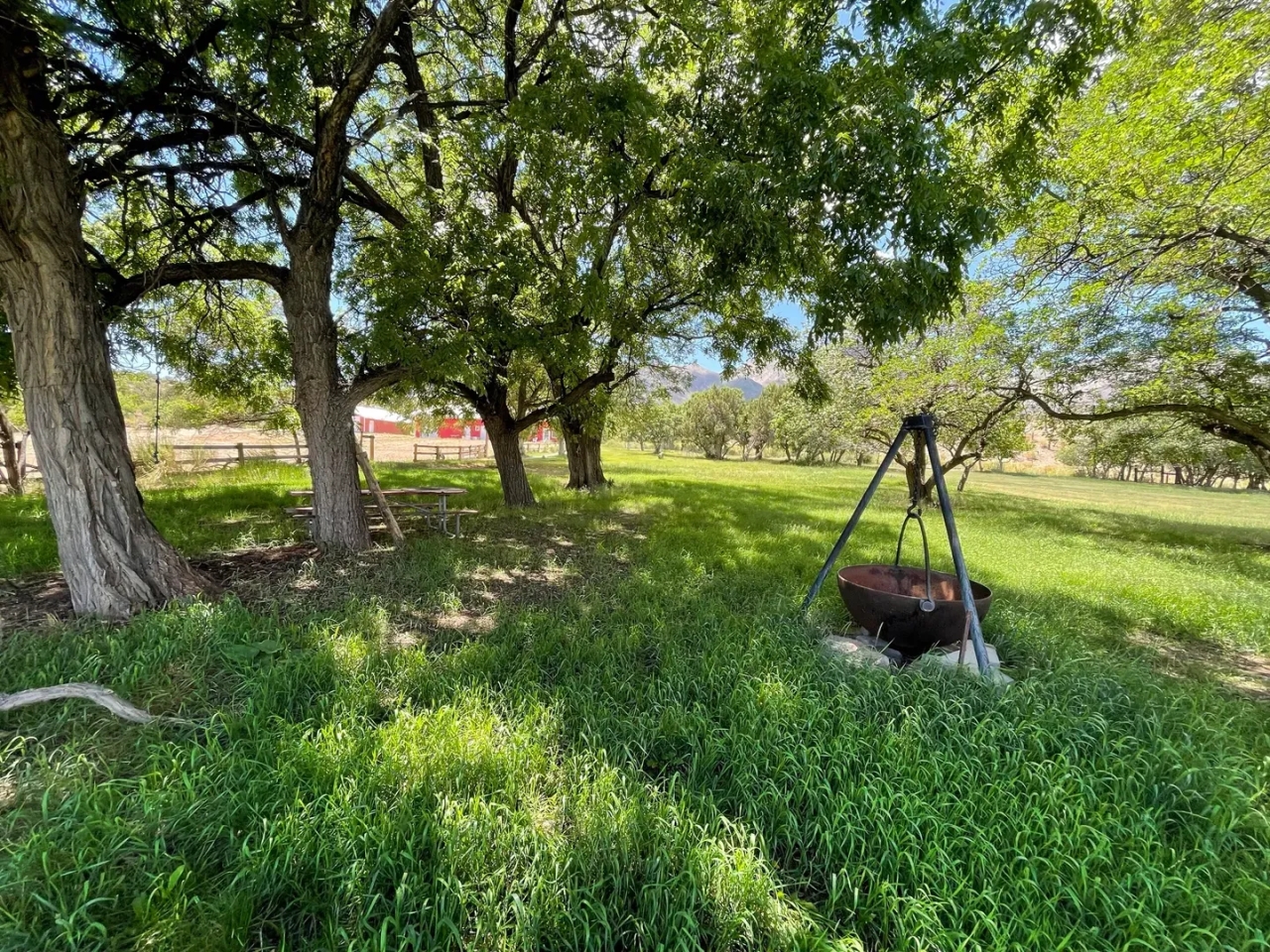 The Cat Ranch - Hunting Land for Sale - HuntingLocator.com ...