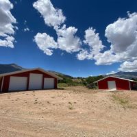 The Cat Ranch images 5