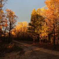 Northwest Arkansas Hunting Lease, 860 acres in Boone Co./Lead Hill