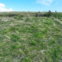 Heaven s Gate on the John Day River images 3