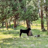 Heaven s Gate on the John Day River images 5