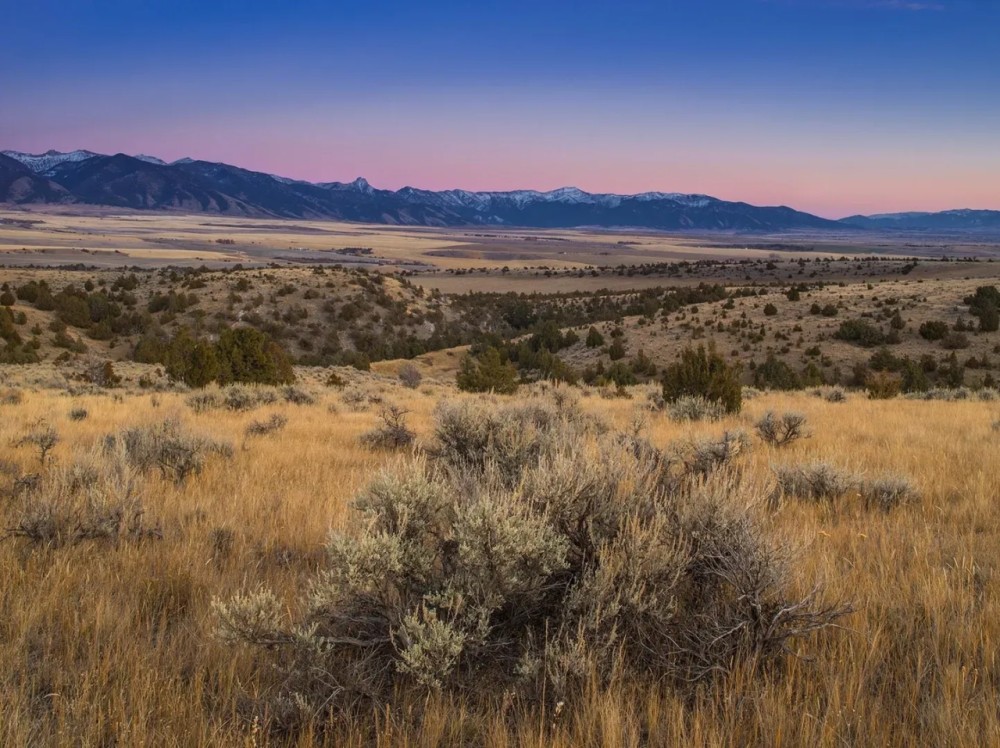 The SxS Ranch Estate featured image