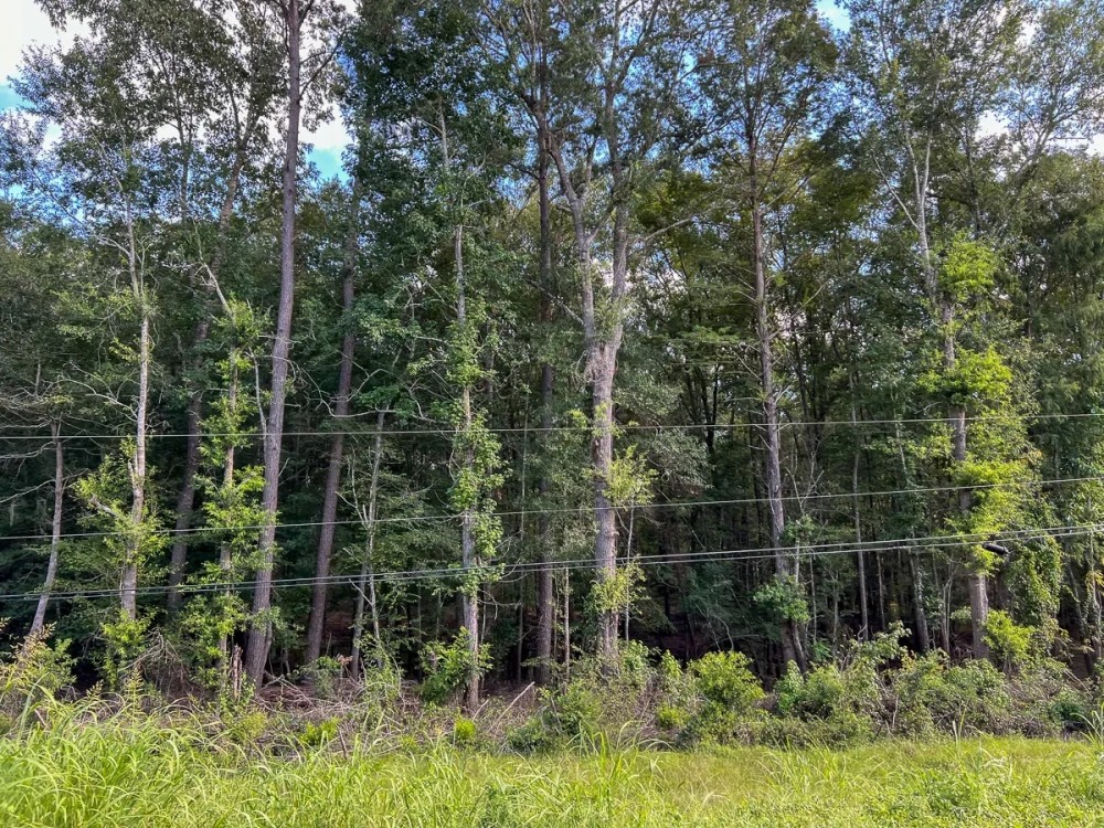 28 Acres T-1 FM 1013 287050 featured image
