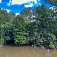 28 Acres T-1 FM 1013 287050 images 4