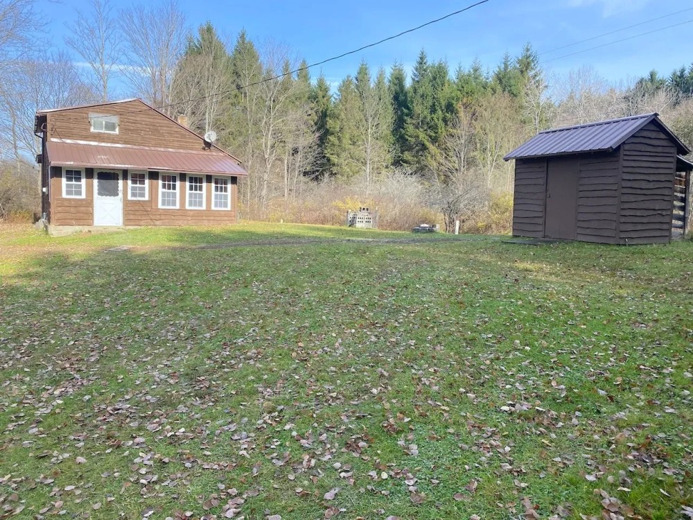 Cabin on 5 acres in Birdsall NY 3346 Old York Drive bordering County Land featured image