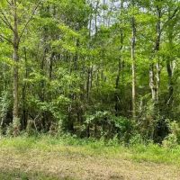 31 Acres Centerville Rd images 2