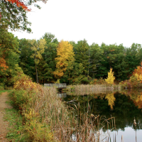 Hartman Creek State 15,000 Acres Hunting Land for Deer in Waupaca, WI images 4