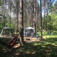 Hartman Creek State 15,000 Acres Hunting Land for Deer in Waupaca, WI images 2