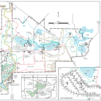 Hartman Creek State 15,000 Acres Hunting Land for Deer in Waupaca, WI