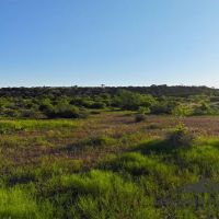 Wilson Carlsbad Ranch images 5