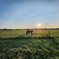 Road s End Ranch