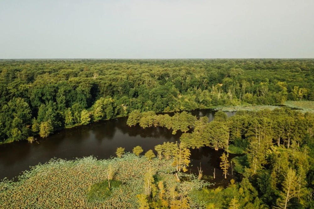 One Equity Share at Black Bayou Hunting Club featured image