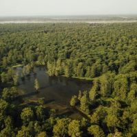 One Equity Share at Black Bayou Hunting Club images 5