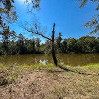 1 726 Acres Neches River Front images 3