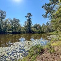 1 726 Acres Neches River Front images 4
