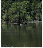 Wall Doxey State Park 60 acres Deer Hunting Land in Marshall, MS images 3