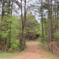 463 Acres Hwy 67 Maya 1003
