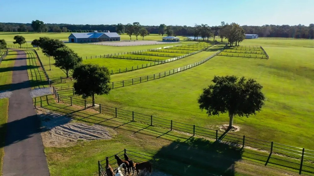 373 Acres Honor Hill Farm in Pearl River County in Poplarville MS featured image