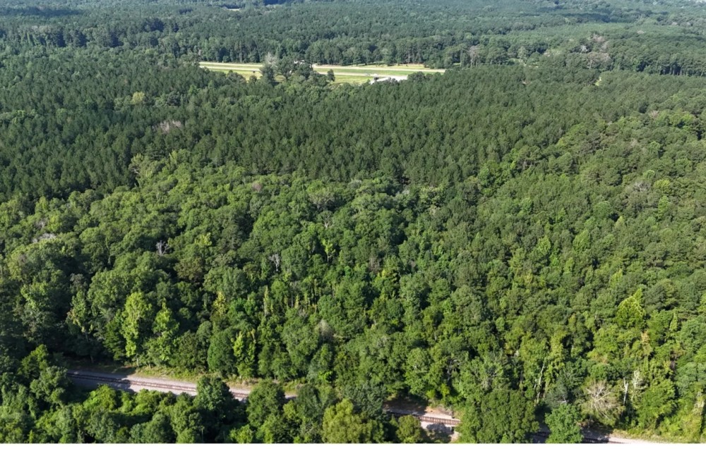 68 Acres in Covington County in Mt. Olive MS featured image