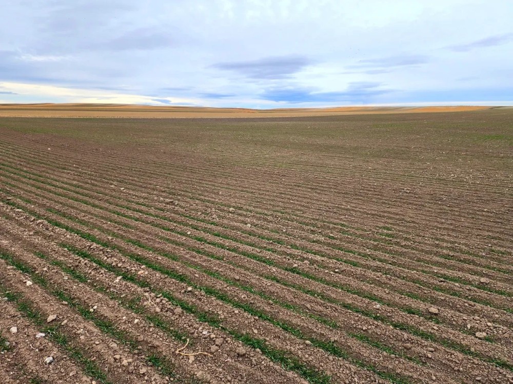 Tillable Cropland Investment Opportunity in Banner Co. NE featured image