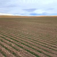 Tillable Cropland Investment Opportunity in Banner Co. NE
