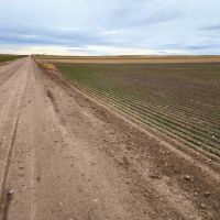 Tillable Cropland Investment Opportunity in Banner Co. NE images 3