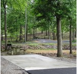 37 acres J.P. Coleman State Park Deer Hunting Land in Tishomingo, MS images 4