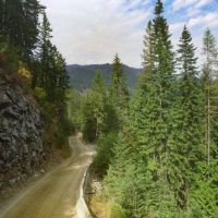 St Joe River Timberland images 2