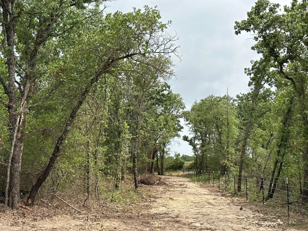 Price Improvement 80.25 Acres Eastland County featured image
