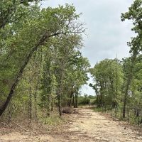 Price Improvement 80.25 Acres Eastland County