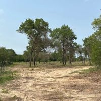 Price Improvement 80.25 Acres Eastland County images 2