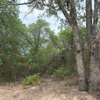Price Improvement 80.25 Acres Eastland County images 3