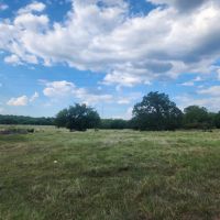 Blanco Pasture images 3