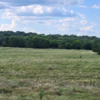 Blanco Pasture images 4