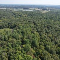 rural living and comfort in this 1344 sqft home sitting on 40 acres images 2