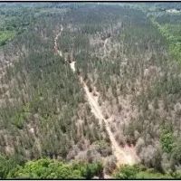 80 Acres in Jasper Clarke County in Vossburg MS images 2