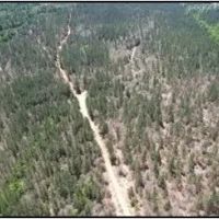 80 Acres in Jasper Clarke County in Vossburg MS images 3