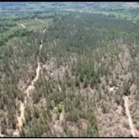 80 Acres in Jasper Clarke County in Vossburg MS images 4
