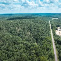 Land Timber 11 images 3