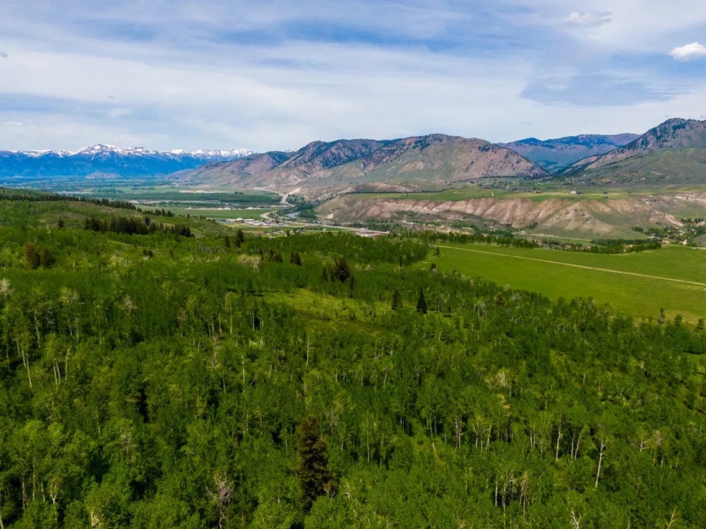 Ross Plateau featured image