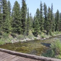 Yellow Pine Acreage images 5