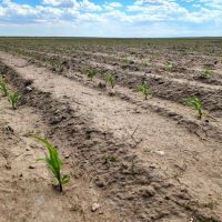 Quarter Section of Cropland near I80 images 2