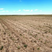 Quarter Section of Cropland near I80 images 3