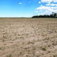 Quarter Section of Cropland near I80 images 4