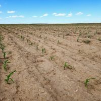 Quarter Section of Cropland near I80 images 5