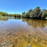 Available 157.5 - Acres Comanche County