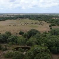 Devil s Garden Ranch