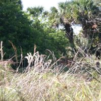 Devil s Garden Ranch images 5