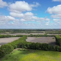 314 Acres Trenton TX Fannin County North Texas Development Opportunity